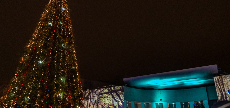 Stolica Dzukii rozświetliła choinkę – skromniej, ale całycsn0Bwky