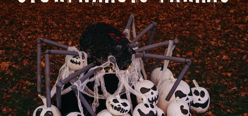 Kviečiame KURTI INSTALIACIJAS. Sulaukęs didelio alytiškių susidomėjimo šiurpnakčio parkas sugrįš ir šiemet!