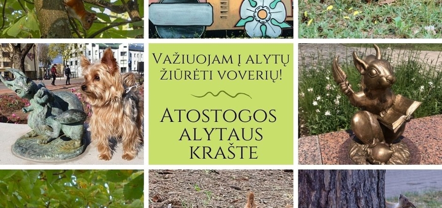 Važiuojam į Alytų žiūrėti voverių!