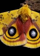 SENGIRĖS KINAS. Alytaus Jurgio Kunčino viešojoje bibliotekoje: filmo „Nakties svečiai“ peržiūra