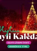 Gruodžio 6-ąją įžiebsime eglutę! Tokių meilės kupinų Kalėdų Alytuje dar nebuvo!