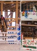 "Royal Horse Resort" приглашает посетить инновационную базу верховой езды