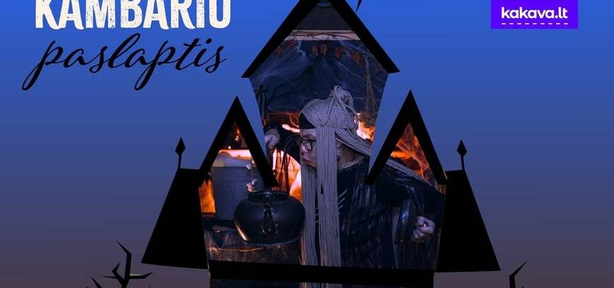 Paslaptinga viešnagė Raganos kambaryje