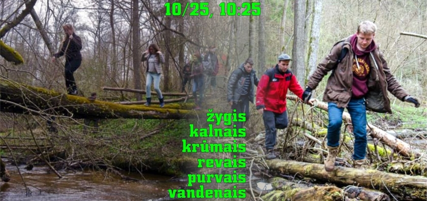 Žygis kalnais, krūmais, revais
