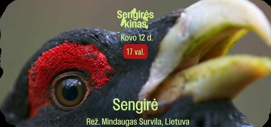 SENGIRĖS KINAS | Dokumentinės poemos „Sengirė“ (rež. Mindaugas Survila) kino seansas