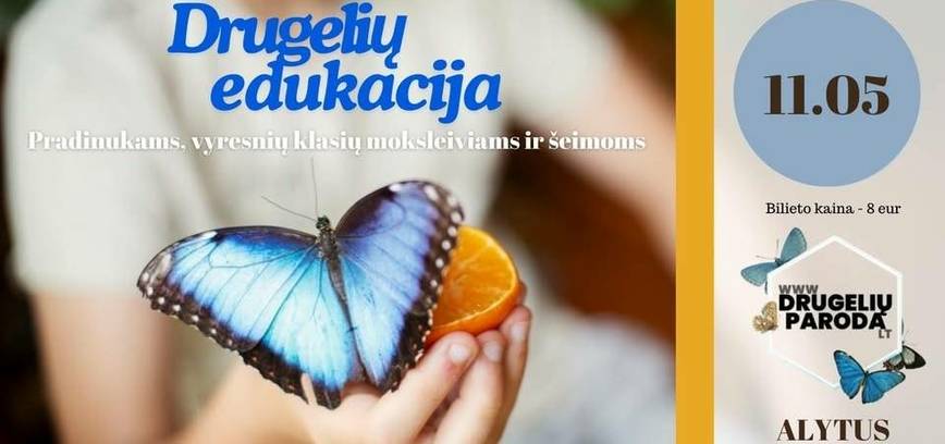 Drugelių paroda Alytuje. Edukacijos pradinukams, vyresniu klasių  moksleiviams, šeimoms.