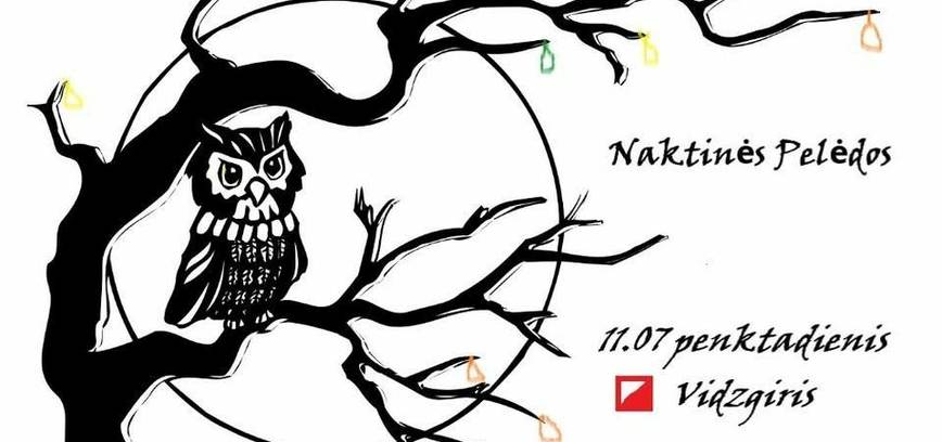 Naktinės Pelėdos. Vidzgiris.