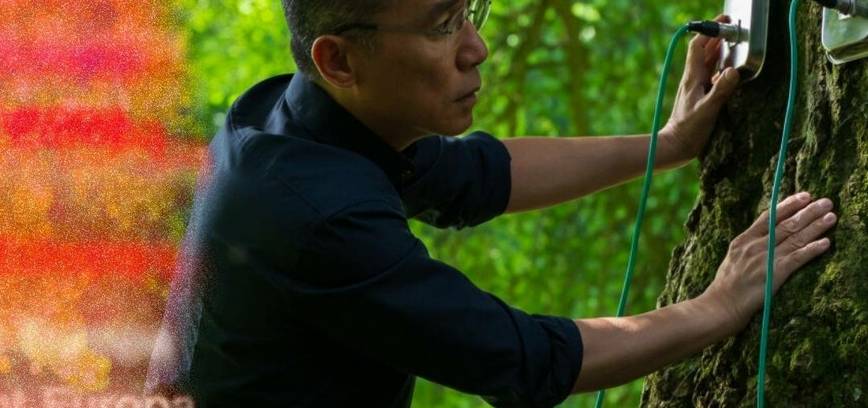 SCA'25: TYLIOJI DRAUGĖ