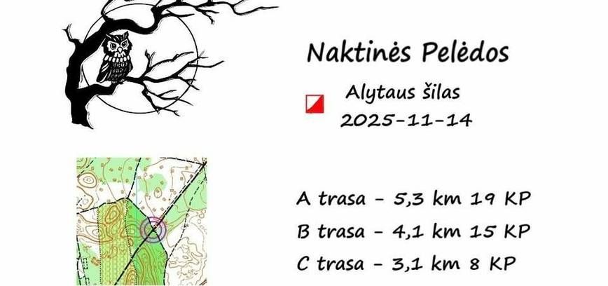Naktinės Pelėdos. Alytaus šilas