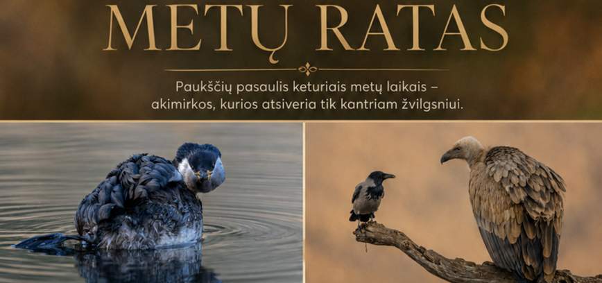 „Paukščiai. Metų ratas“.