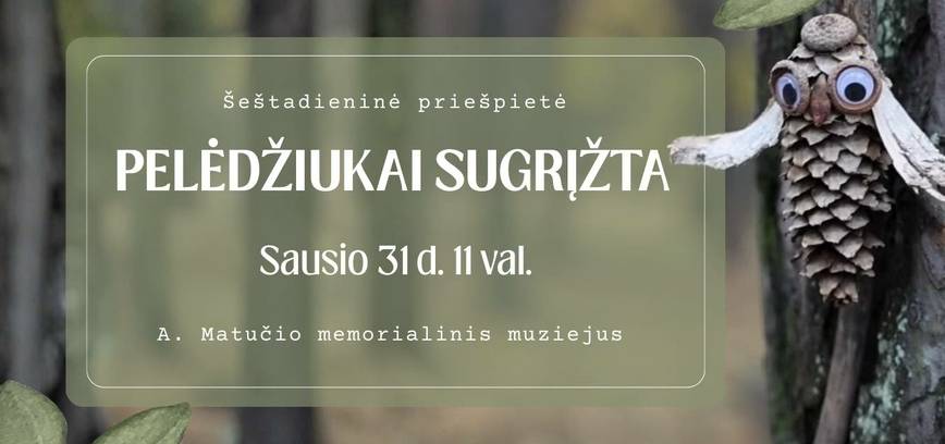 Šeštadieninė priešpietė „Pelėdžiukai  sugrįžta“