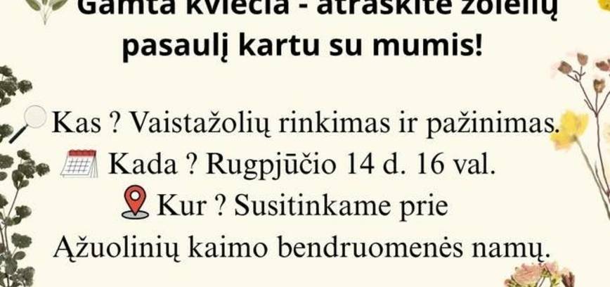Vaistažolės aplink mus