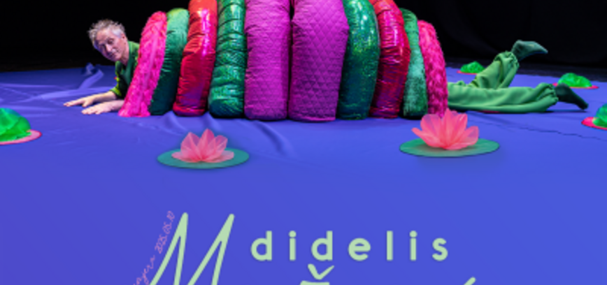 „DIDELIS MAŽAS“