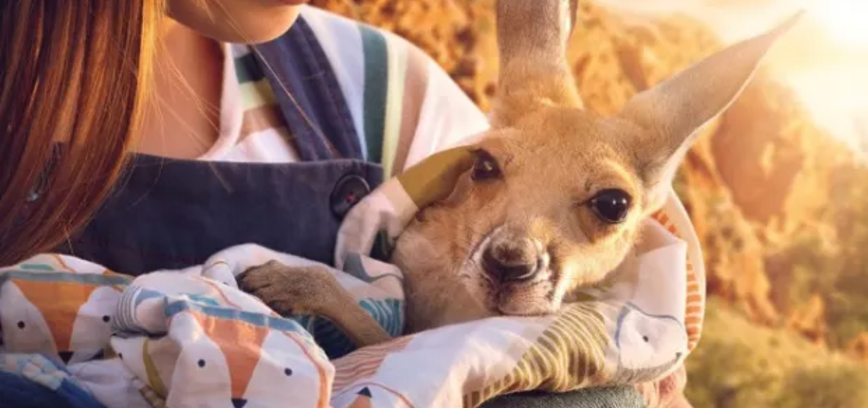 LĖJA IR KENGŪRIUKAS