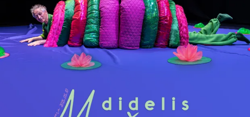 „DIDELIS MAŽAS“