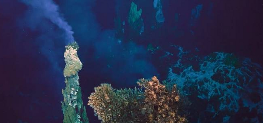 SENGIRĖS KINAS: filmo „Iš gelmių“ peržiūra