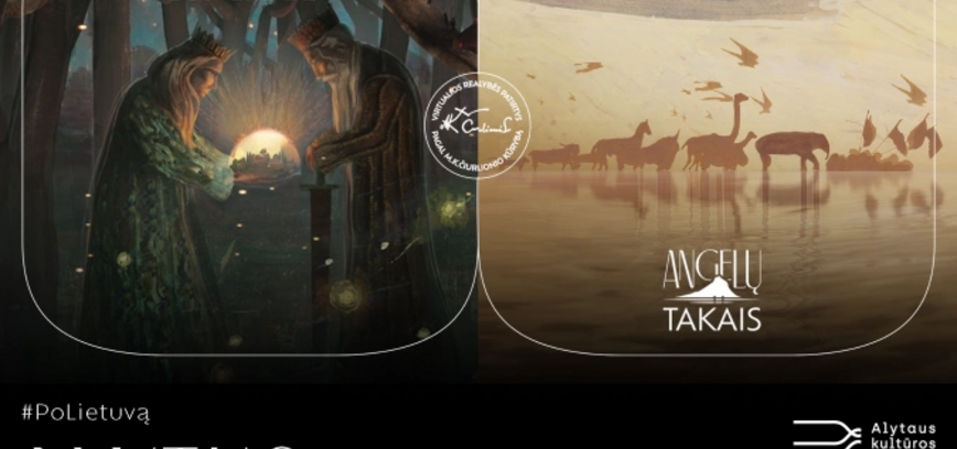 Virtualios realybės patirtis