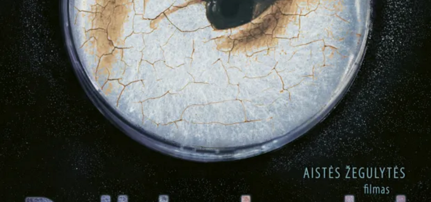 DULKĖS, KAULAI IR STEBUKLAI