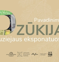 Name DZUKIA in the museum exhibits EXHIBITION