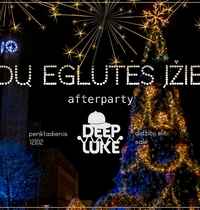 Christmas tree lighting AFTERPARTY /Deep Luke/ 12|02
