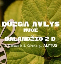 Ярмарка "Dūzgia avilys" в Алитусе