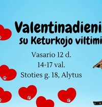 Valentinadienis II