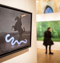 Meno gurkšnis Miglės Kosinskaitės darbų parodoje „Debesuota su pragiedruliais“