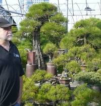 Tarptautiniai bonsai mokymai su Vaclav Novak (Čekija)