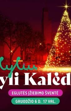 Kalėdų eglutės įžiebimas Alytuje