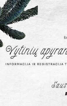 Šeštadieninė priešpietė „Vytinių apyrankių  gamyba“