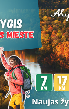 TrenkTuras Alytuje'25 Auksinis žygis meilės mieste