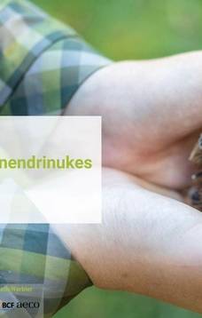 Atvirų durų dina pas meldines nendriukes Žuvinte