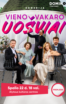 DOMINO teatras | premjera VIENO VAKARO UOŠVIAI