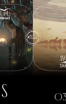 Virtualios realybės patirtis