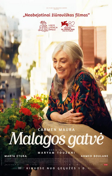MALAGOS GATVĖ