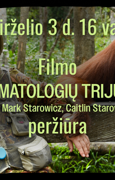 SENGIRĖS KINAS: „Primatologių trijulė“