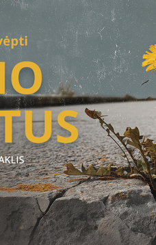 Muzikinis spektaklis HOMO ASFALTUS