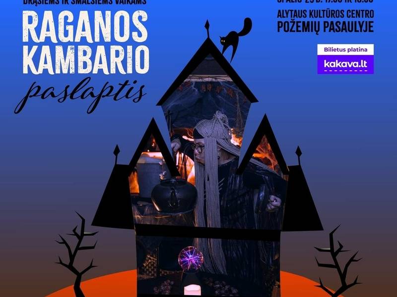 Paslaptinga viešnagė Raganos kambaryje