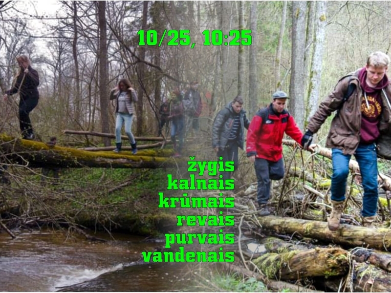 Поход в горы, кусты, овраги