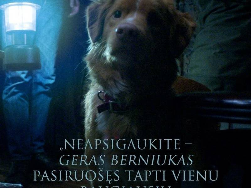 Geras berniukas