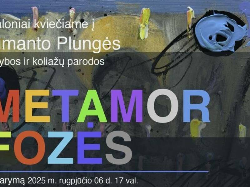 Parodos „Introspekcija“ refleksija / recenzija