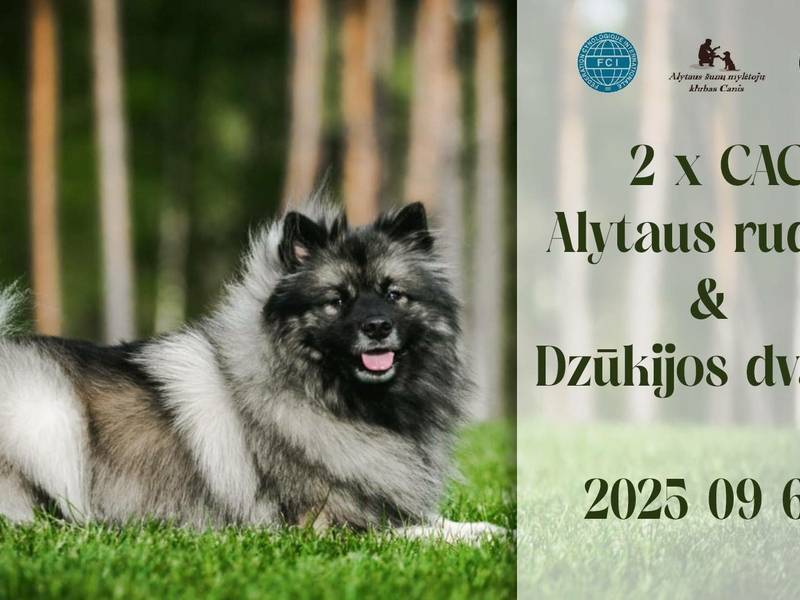 2 x CAC: Alytaus ruduo & Dzūkijos dvaras