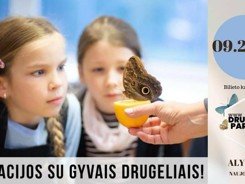 Drugelių paroda Alytuje. Edukacija su gyvais drugeliais