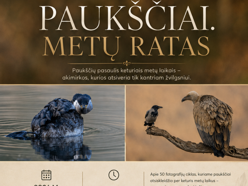 „Paukščiai. Metų ratas“.