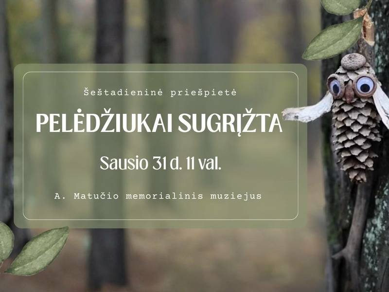 Šeštadieninė priešpietė „Pelėdžiukai  sugrįžta“