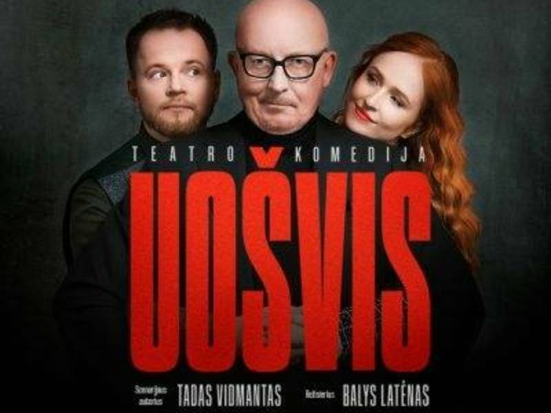 Teatro komedija UOŠVIS