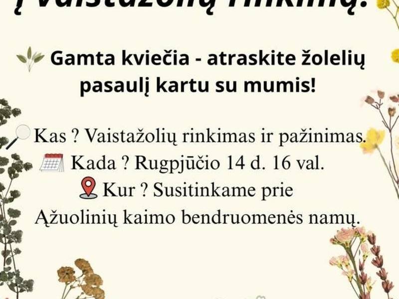 Vaistažolės aplink mus