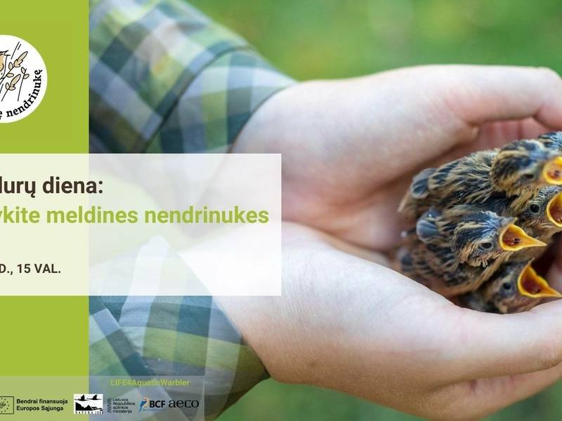 Atvirų durų dina pas meldines nendriukes Žuvinte