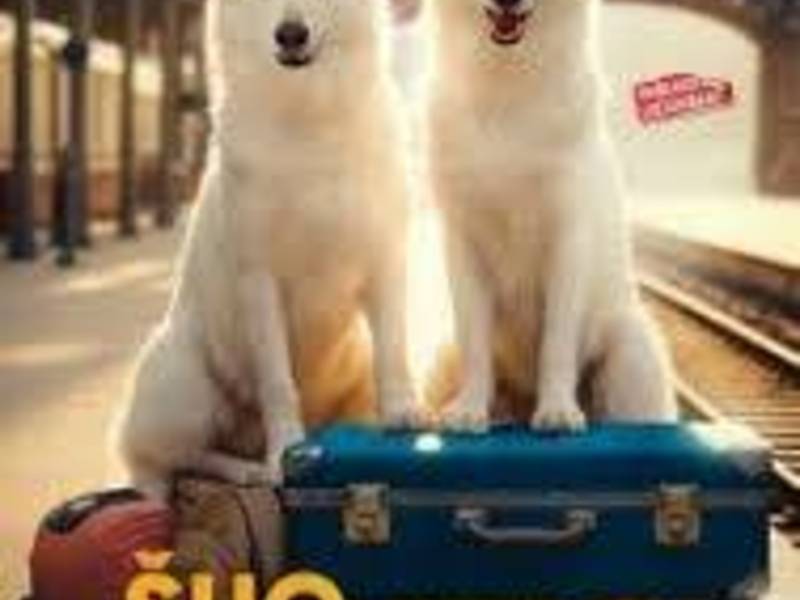 Šuo, kuris keliauja traukiniu