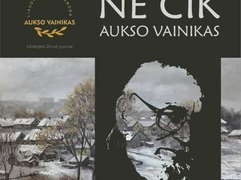 NE CIK AUKSO VAINIKAS